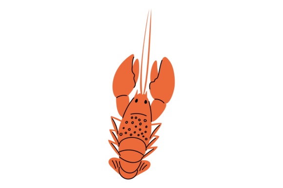 Download Sea or River Crayfish. Aquatic Animal. S - Aquatic Collection