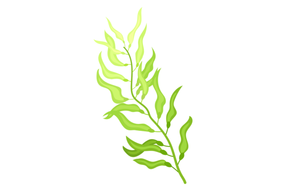 Download Green Algae Cartoon Icon. Aquatic Nature - Premium Resources