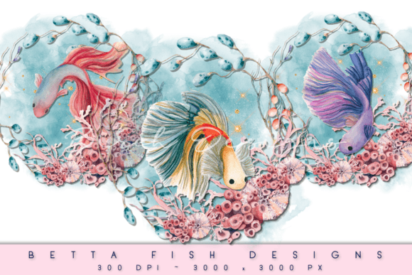 Download Betta Fish Aquatic Wreath PNG Designs - Aquatic Collection