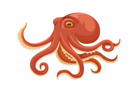 Download Octopus Aquatic Animal Cartoon Vector - Premium Bundle